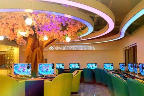 广州生蚝特惠:98元16只,畅享海鲜盛宴 广州生蚝特惠:98元16只,畅享海鲜盛宴